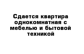 Сдается квартира однокомнатная с мебелью и бытовой техникой